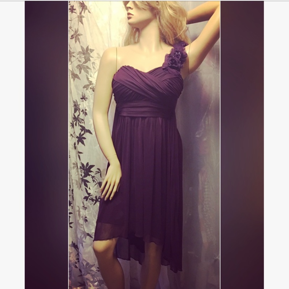 Rich Purple Plum One Shoulder Gown Dress